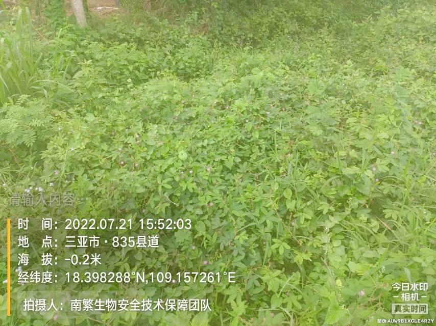请输入内容…