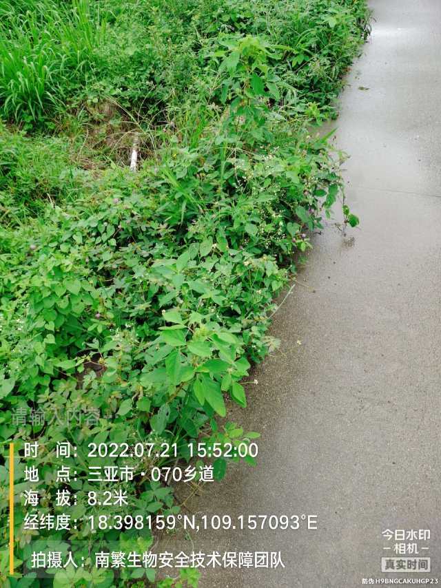 请输入内容…