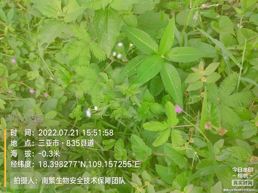 请输入内容…
