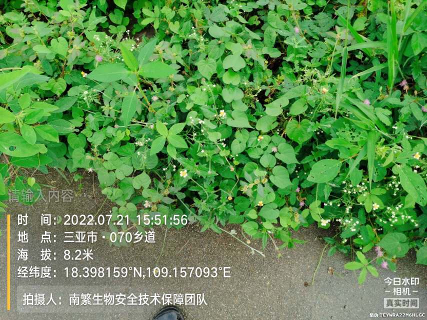 请输入内容…
