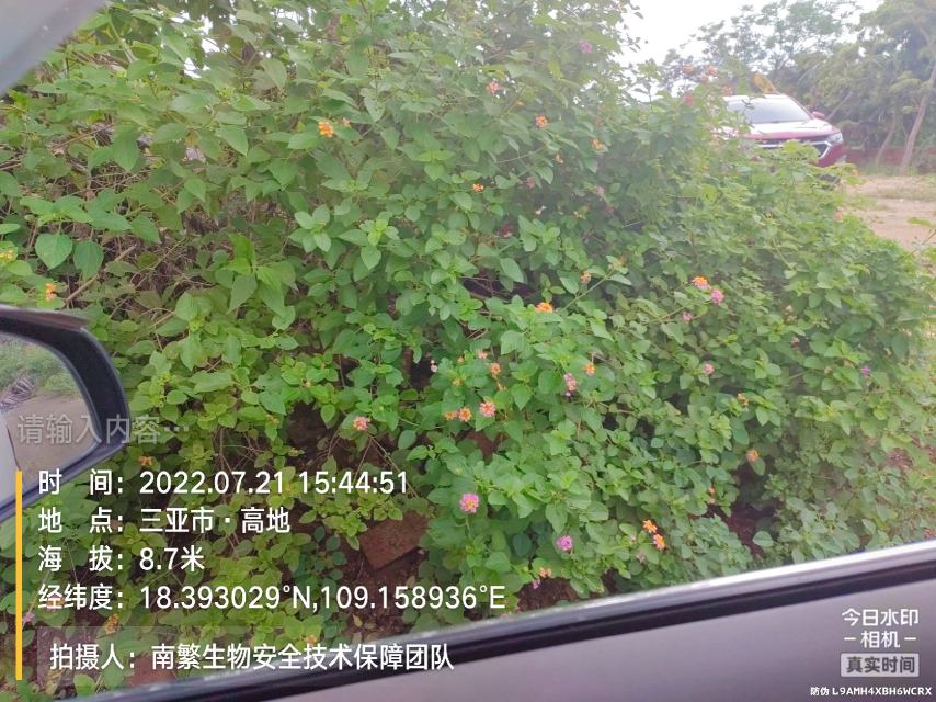 请输入内容…