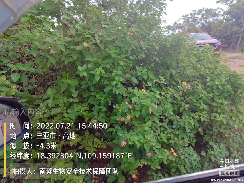 请输入内容…