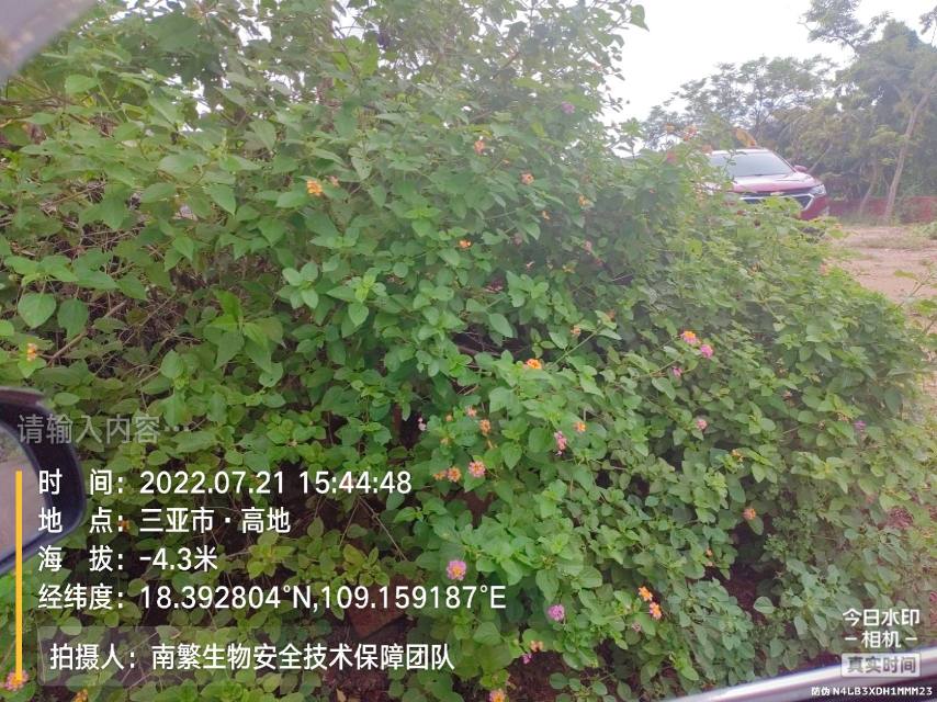 请输入内容…