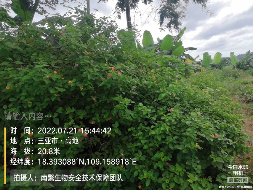 请输入内容…