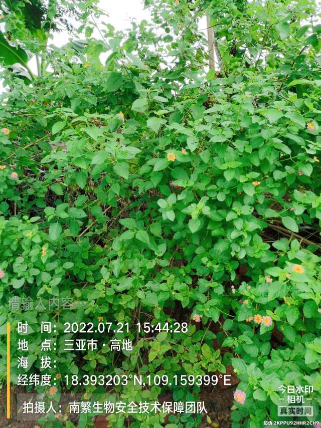 请输入内容…