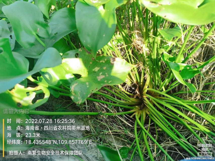请输入内容…