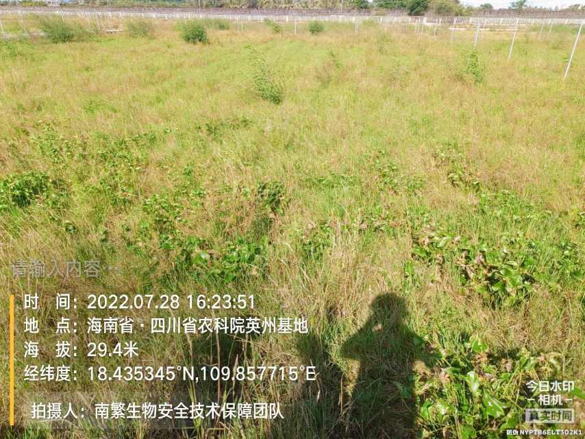 请输入内容…
