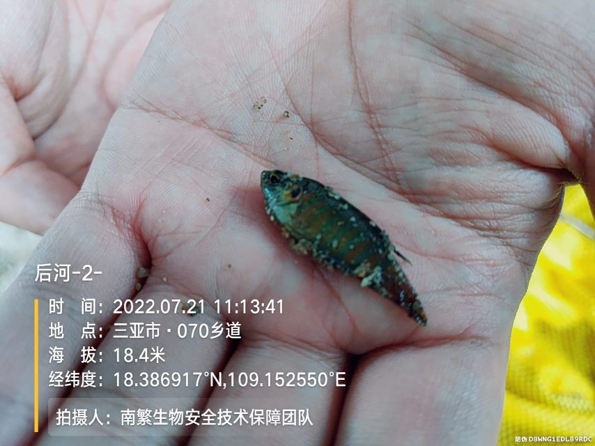 后河-2-