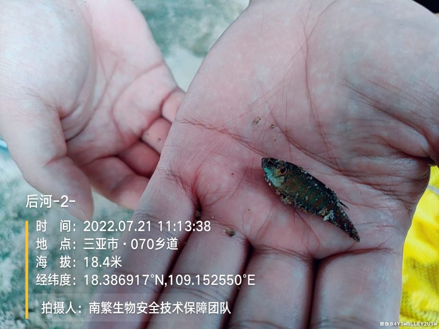 后河-2-