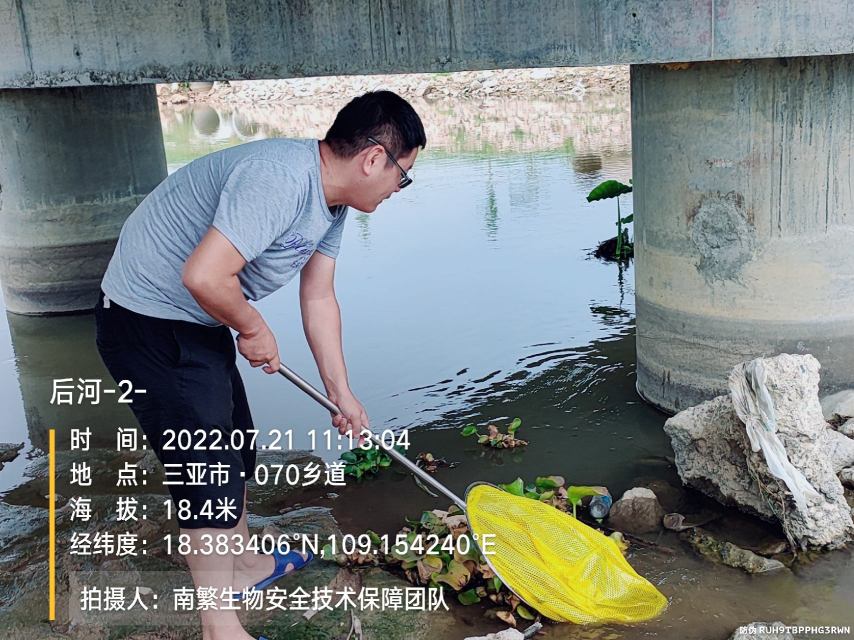 后河-2-