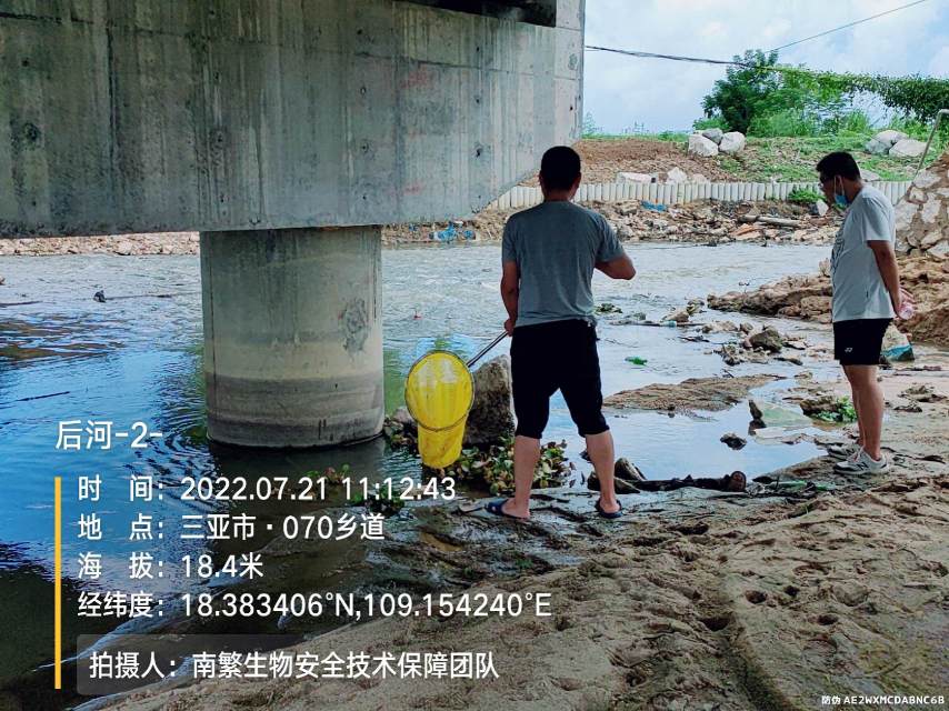 后河-2-