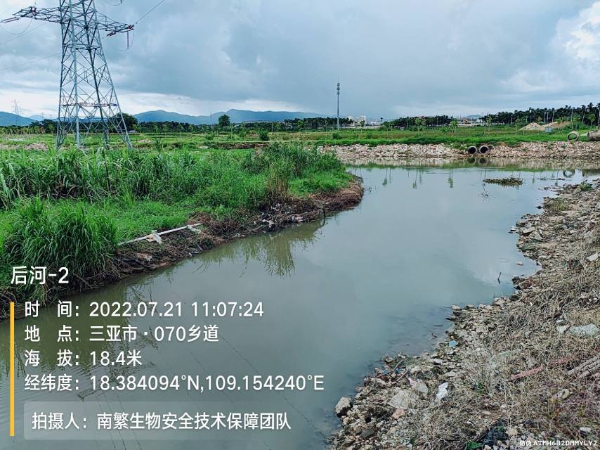 后河-2