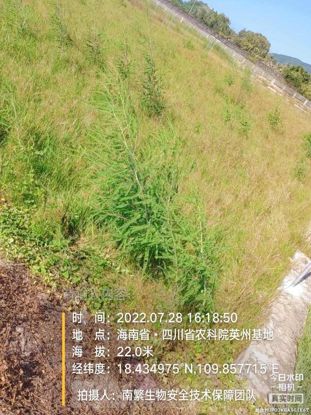 请输入内容…