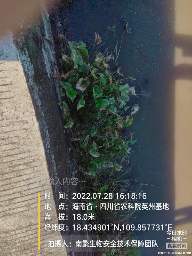 请输入内容…