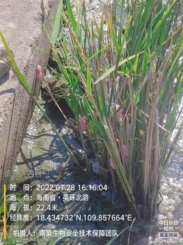 请输入内容…