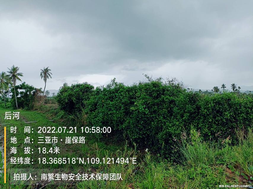 后河