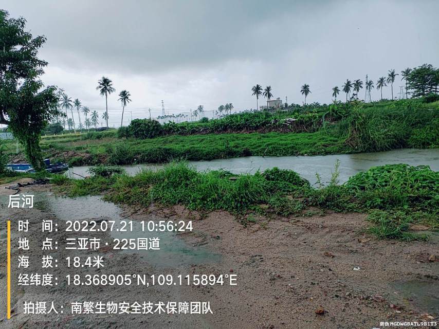后河