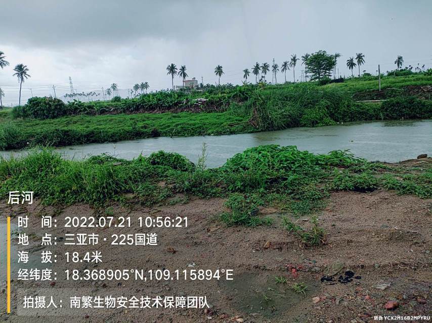 后河