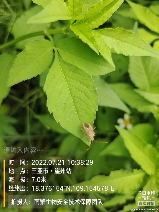 请输入内容…
