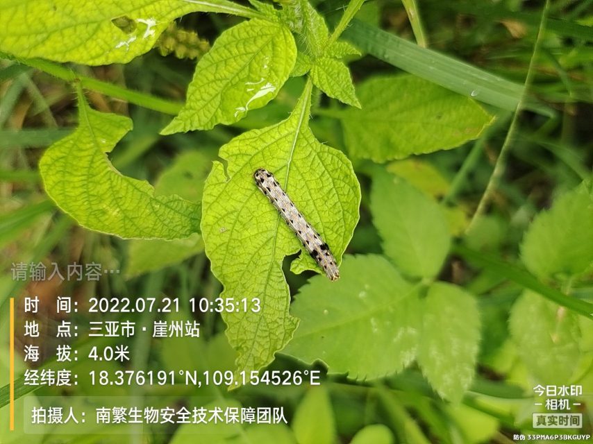 请输入内容…