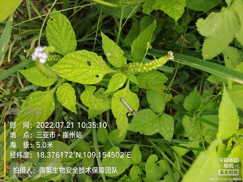 请输入内容…