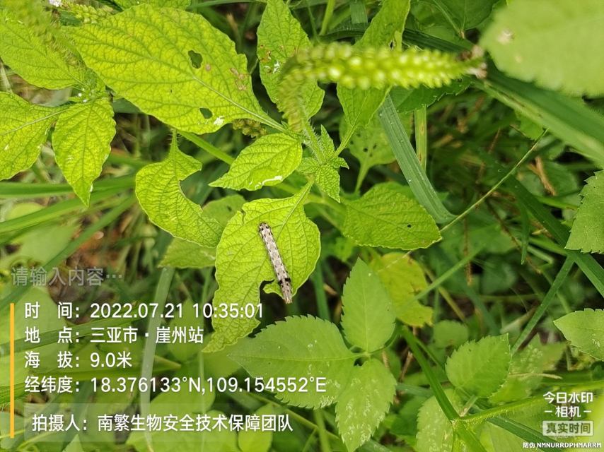 请输入内容…