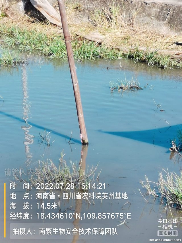 请输入内容…
