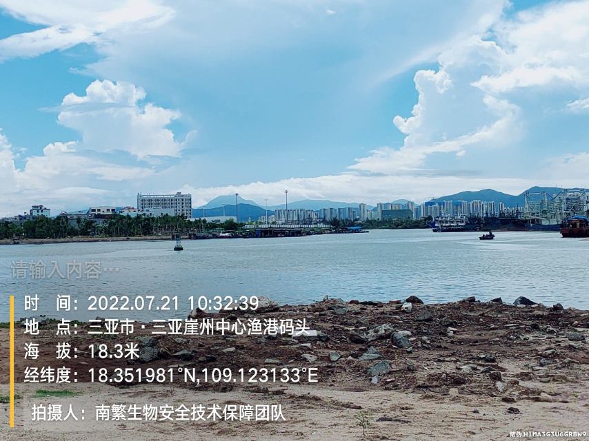 请输入内容…