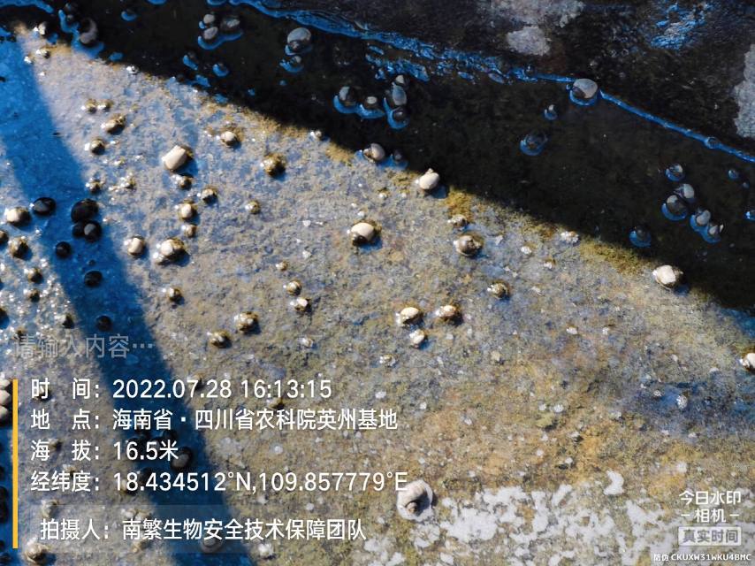 请输入内容…
