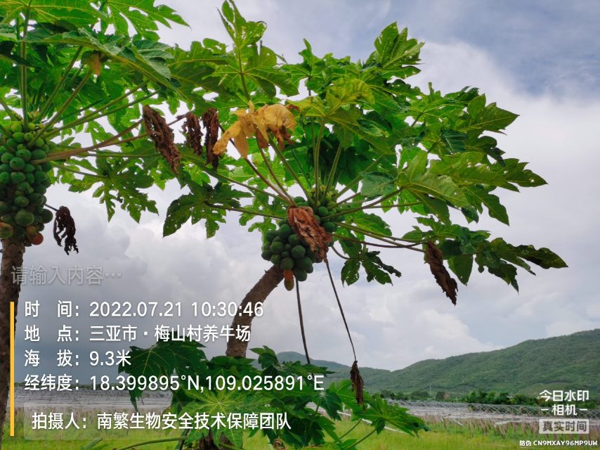 请输入内容…