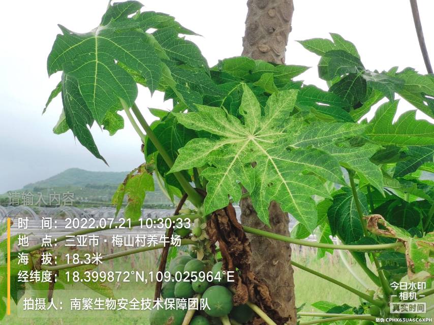 请输入内容…