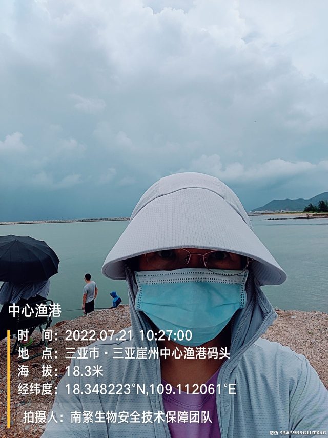 中心渔港
