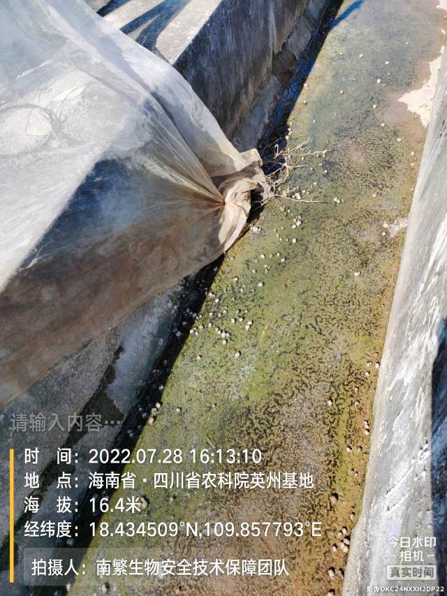 请输入内容…