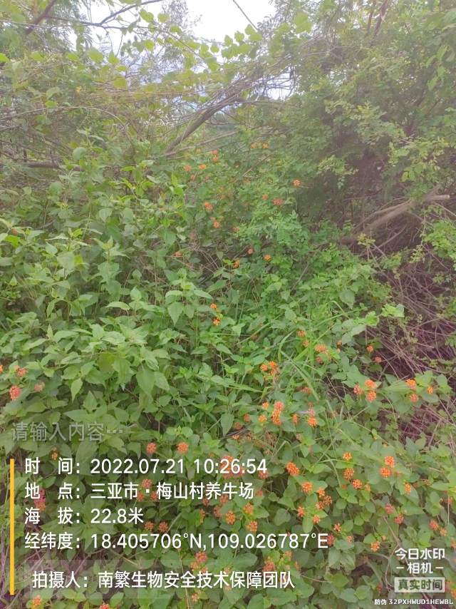 请输入内容…