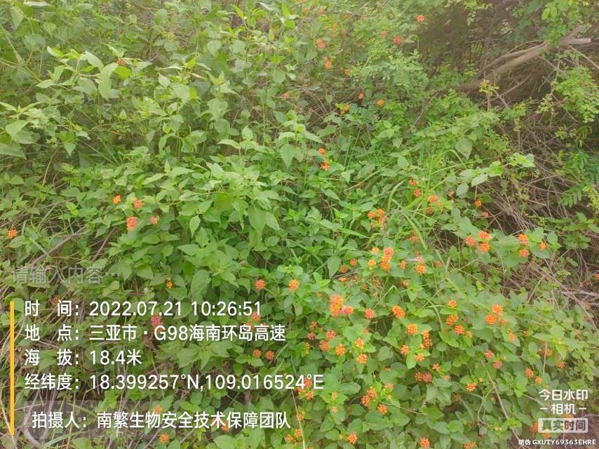 请输入内容…