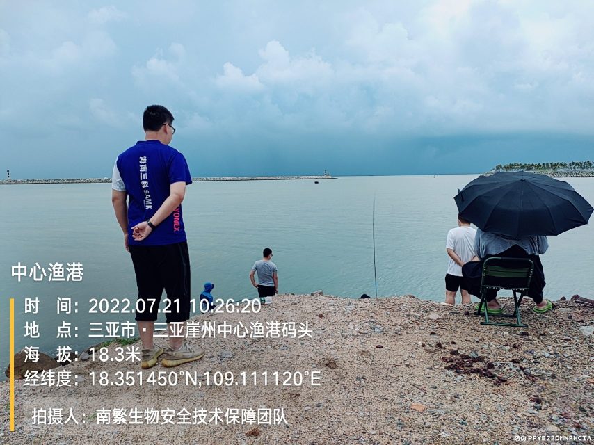 中心渔港