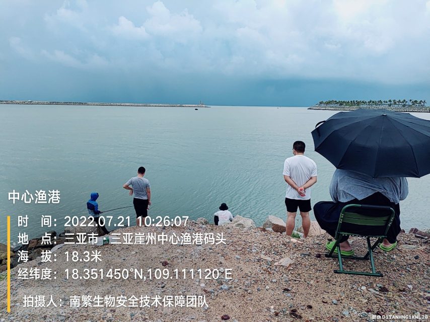 中心渔港