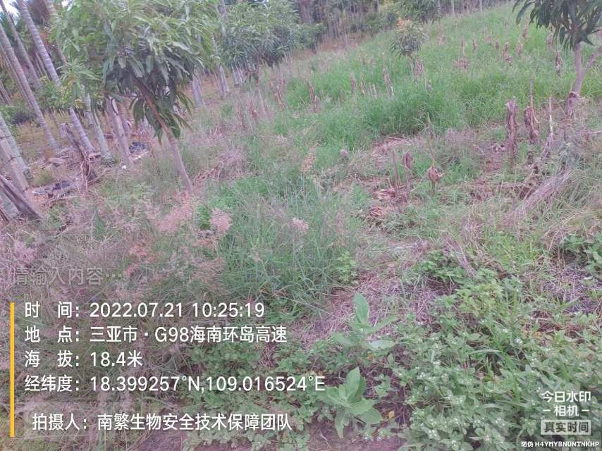 请输入内容…