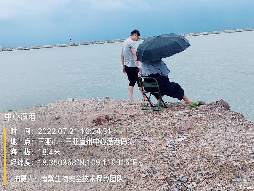 中心渔港