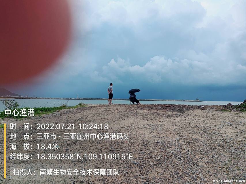 中心渔港