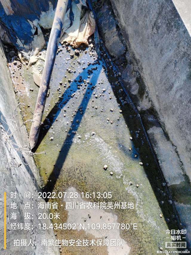 请输入内容…