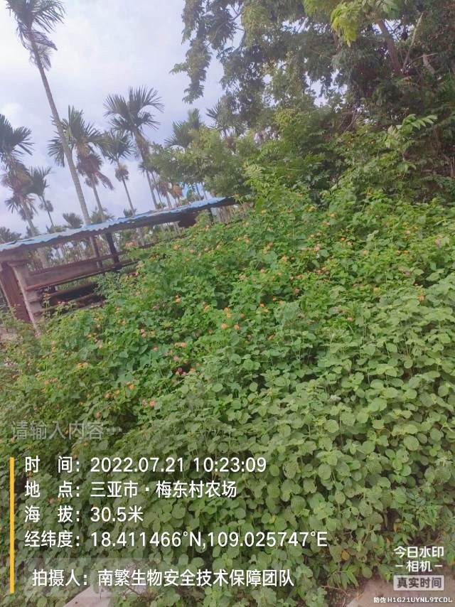 请输入内容…