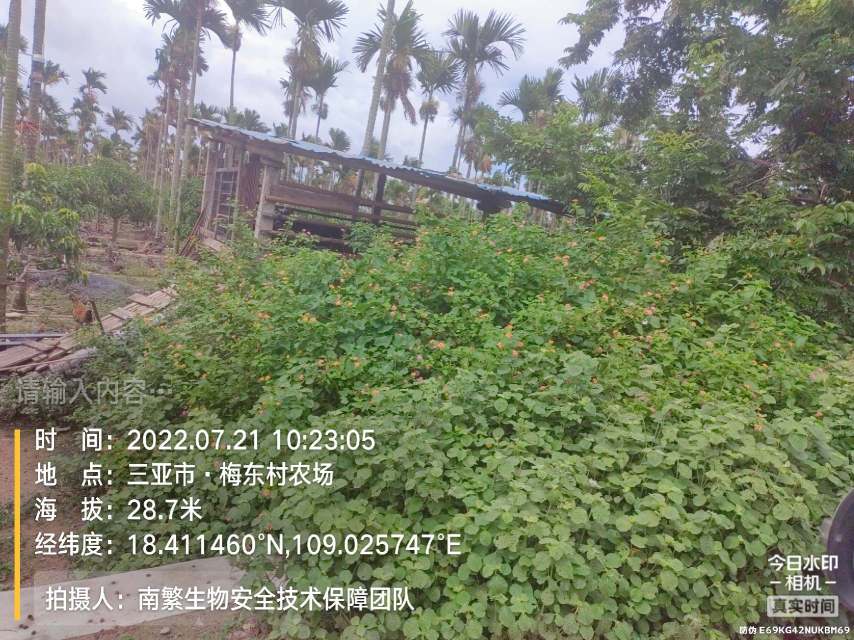 请输入内容…