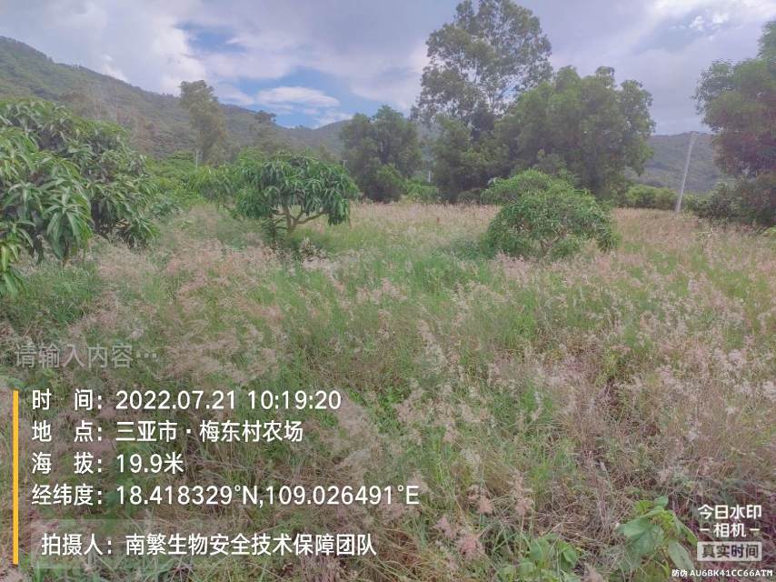 请输入内容…