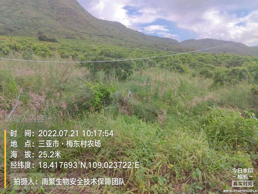 请输入内容…