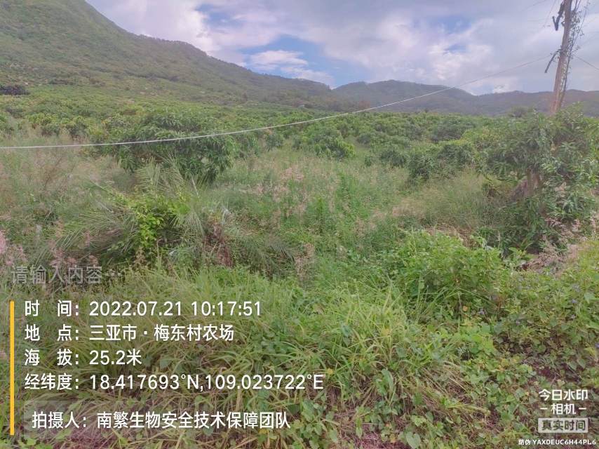 请输入内容…