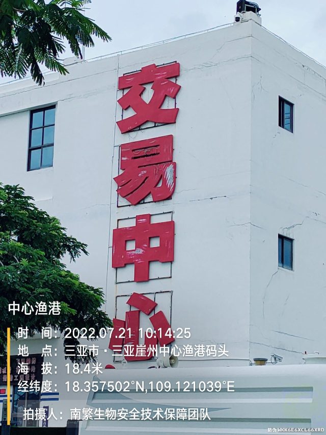中心渔港
