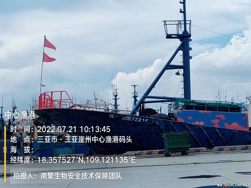 中心渔港