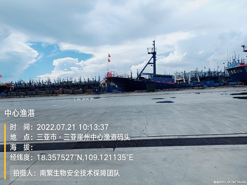 中心渔港