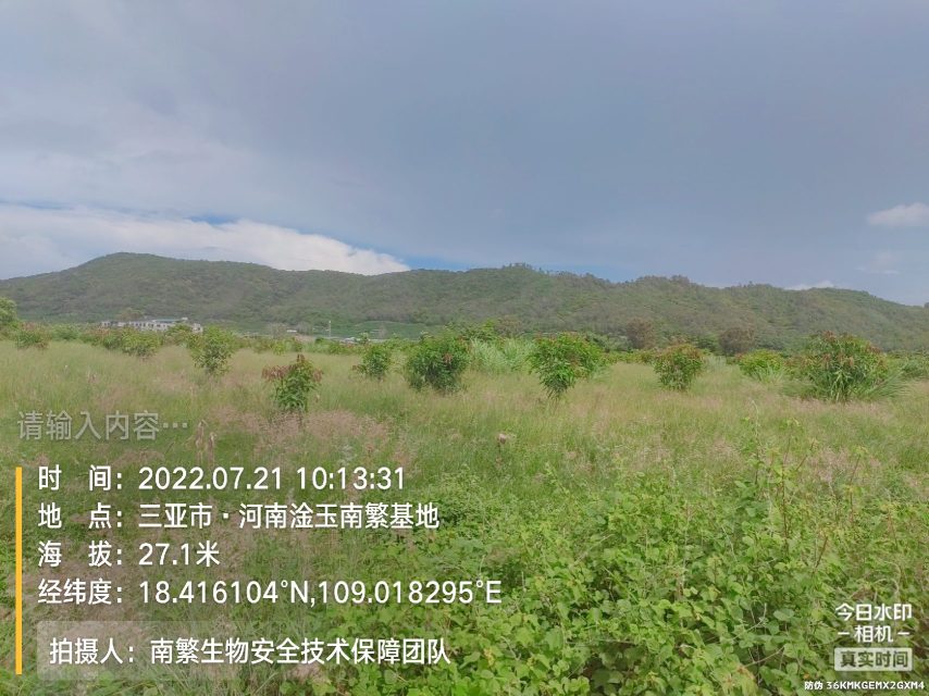 请输入内容…
